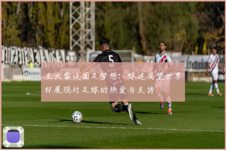 王大雷谈国足梦想：球迷渴望世界杯展现对足球的热爱与支持